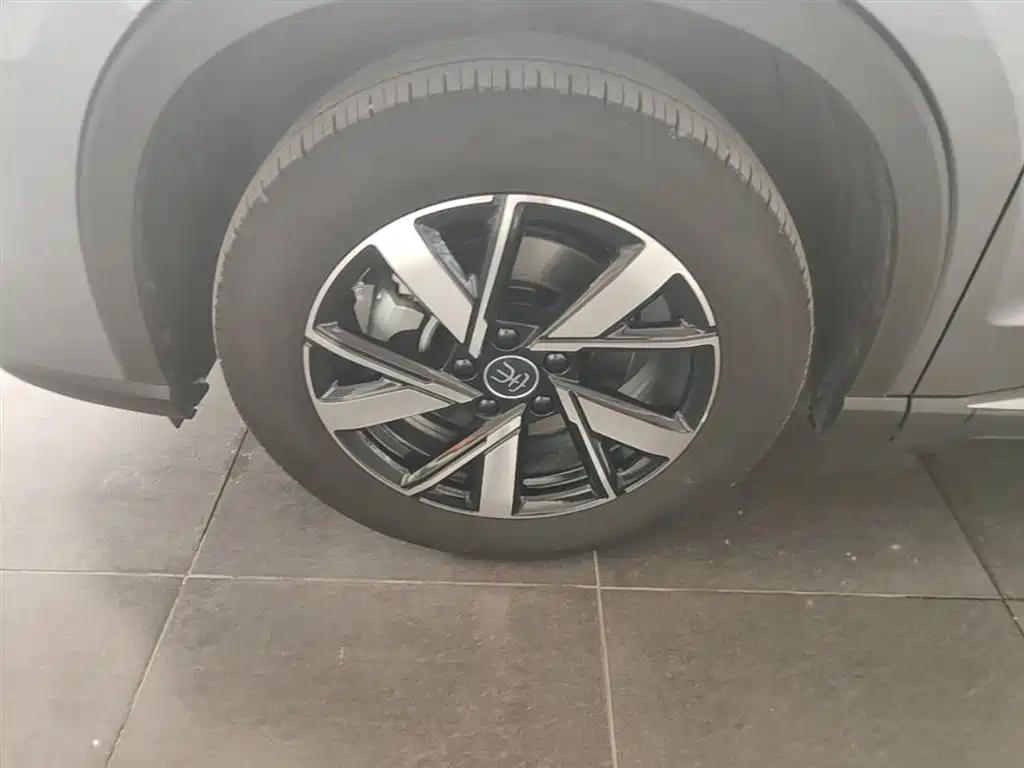 BYD Song Pro New Energy 2024 Glory Edition DM-i 71KM Leading фото 23
