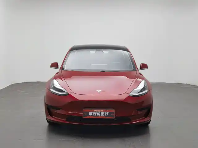 Tesla Model 3 2020 Standard Range Rear-Wheel Drive Upgrade — фото 3