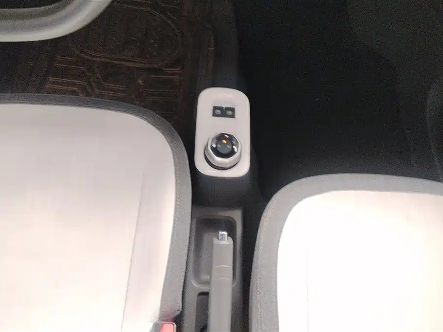 Geely Galaxy Panda 2025 Panda mini 210km Vitality Bear фото 16