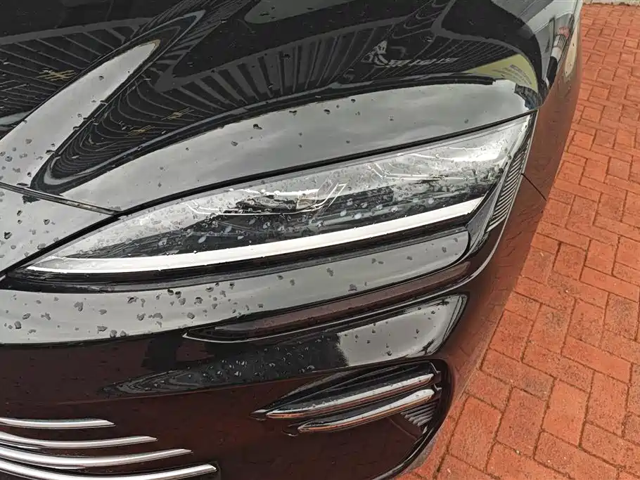 BYD Song PLUS PHEV 2023 Champion Edition DM-i 110KM Flagship фото 5