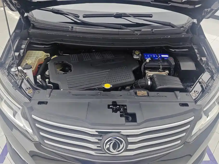 Dongfeng Fengxing Fengxing S500 2017 2017 1.5L Manual Luxury