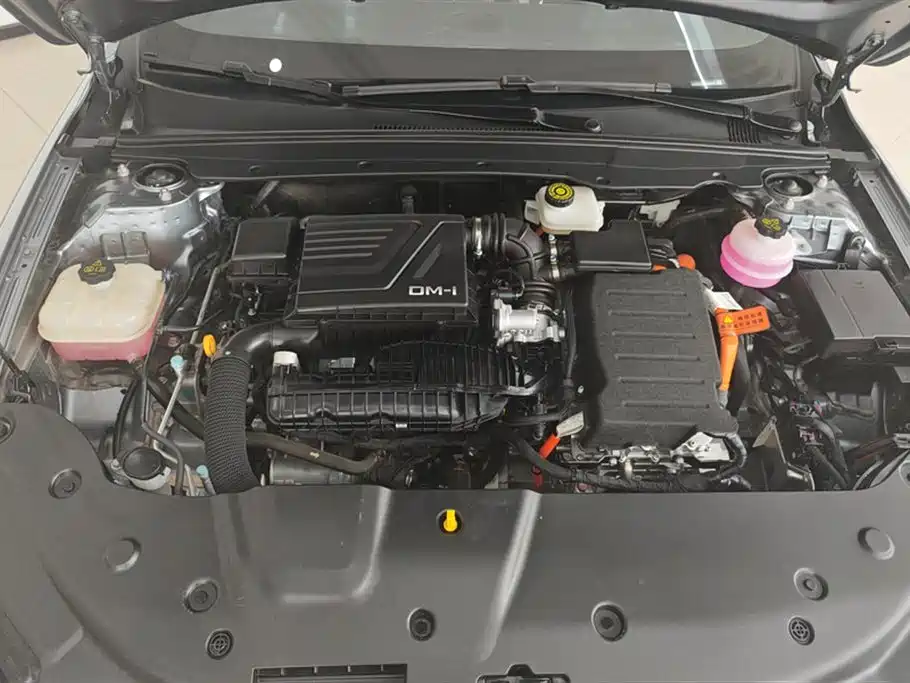BYD Qin PLUS 2024 Glory Edition DM-i 55KM Leading фото 10