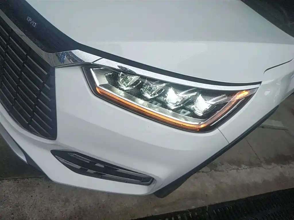 BYD Song New Energy 2019 Song EV500 Smart Connection Glory фото 24