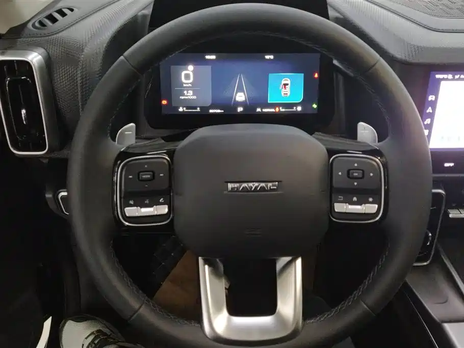 HAVAL BIG DOG