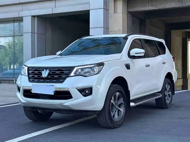  Dongfeng Fengdu Paladin 2024 2.0T AWD Ultimate Edition