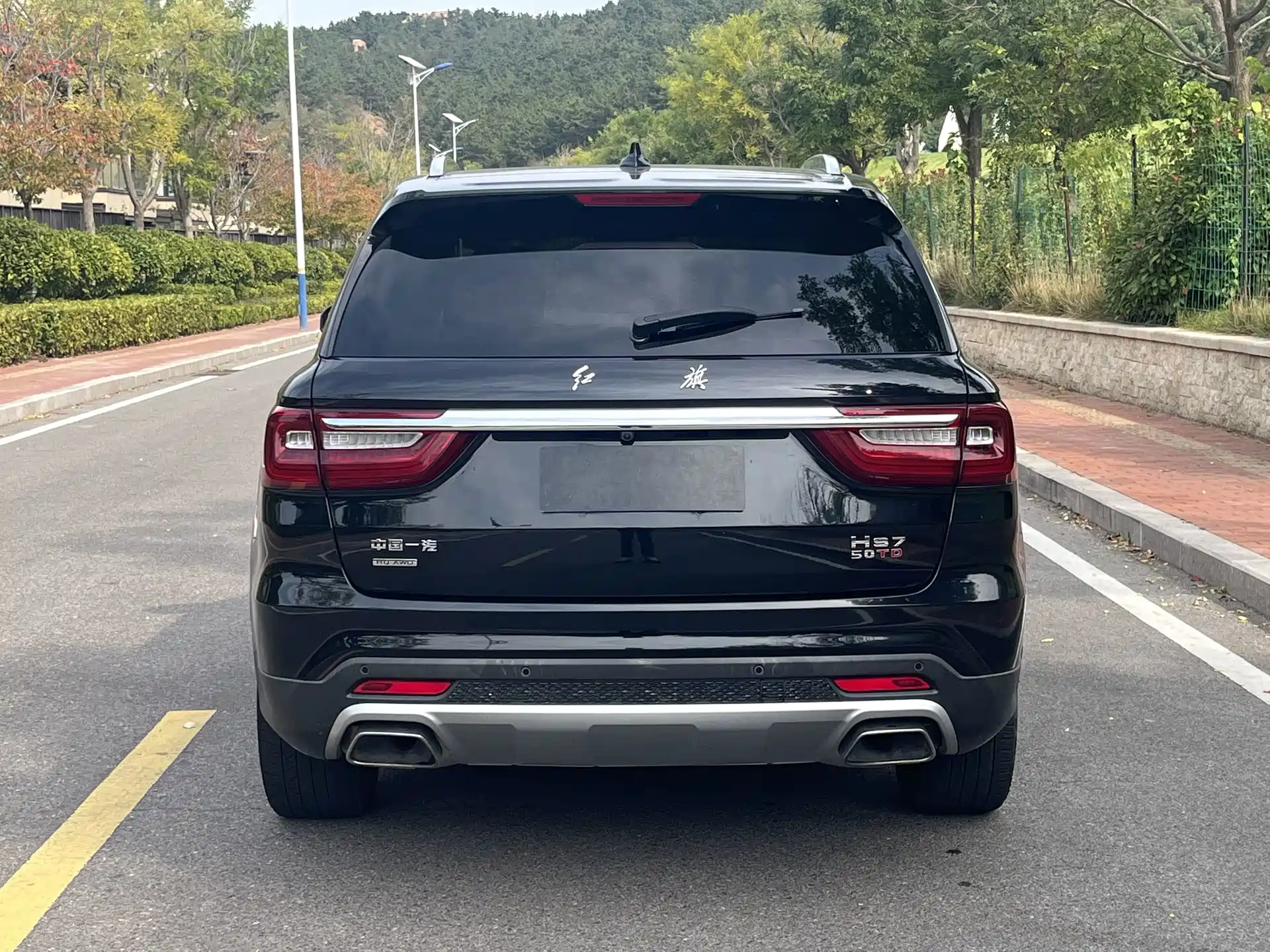 صورة 8 - Hongqi HS7