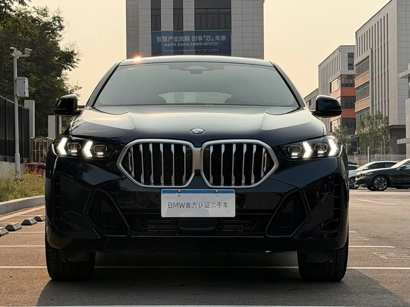 2025 BMW X6