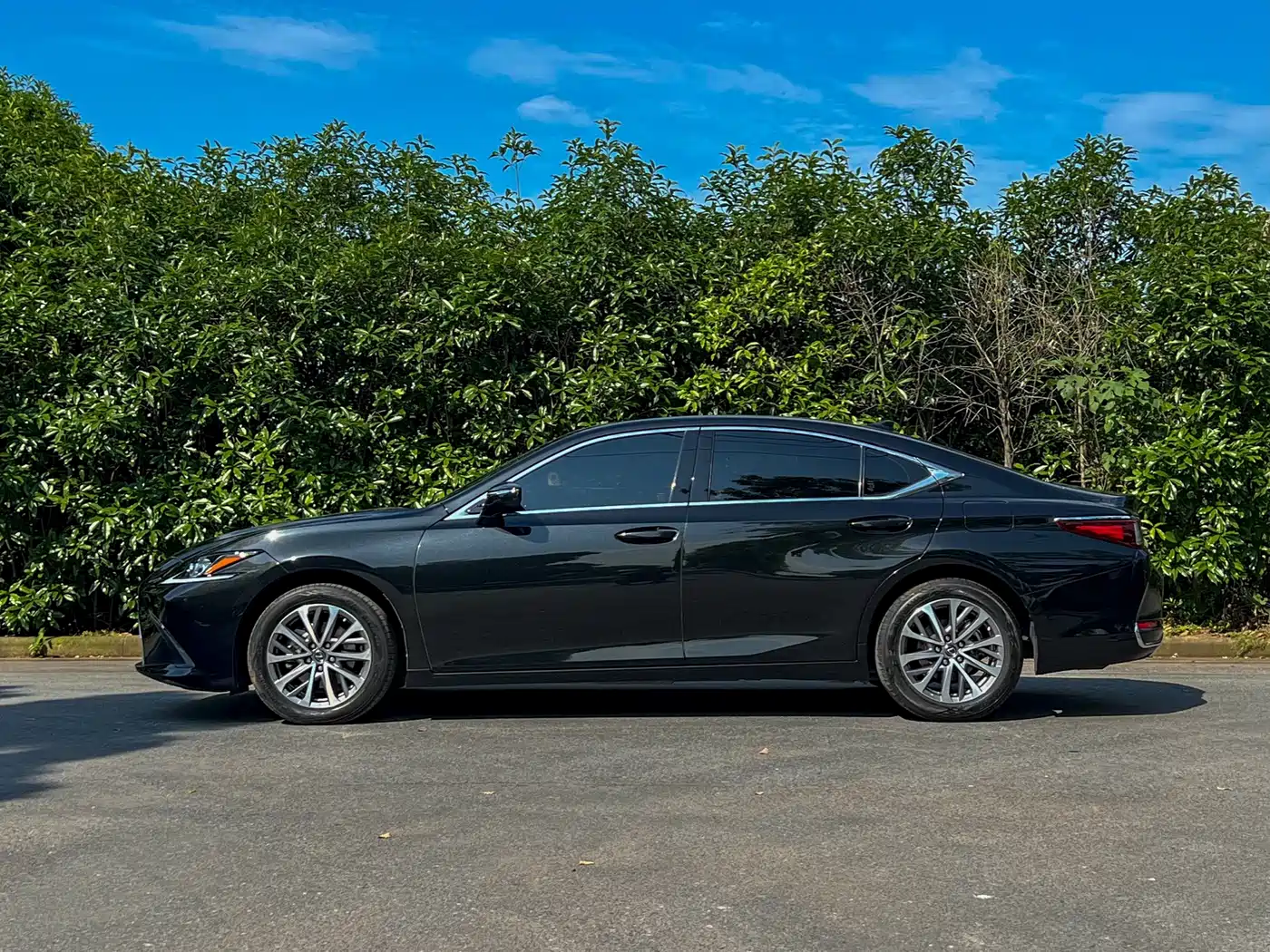 Lexus ES 2022 200 Excellence Edition фото 6