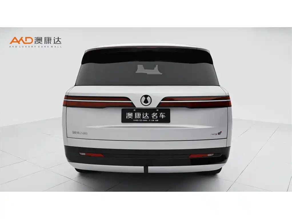 Denza N9 2025 2025 Flagship Model
