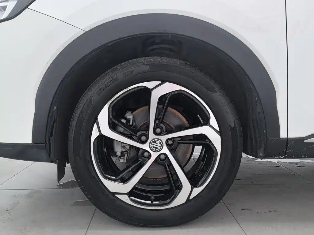 MG Pilot 2021 2021 300TGI Automatic 2WD Randong Luxury Edition