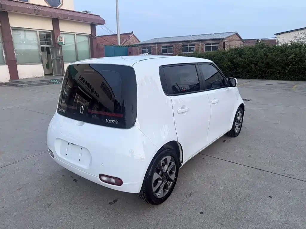 Ora White Cat 2021 2020 305km Luxury