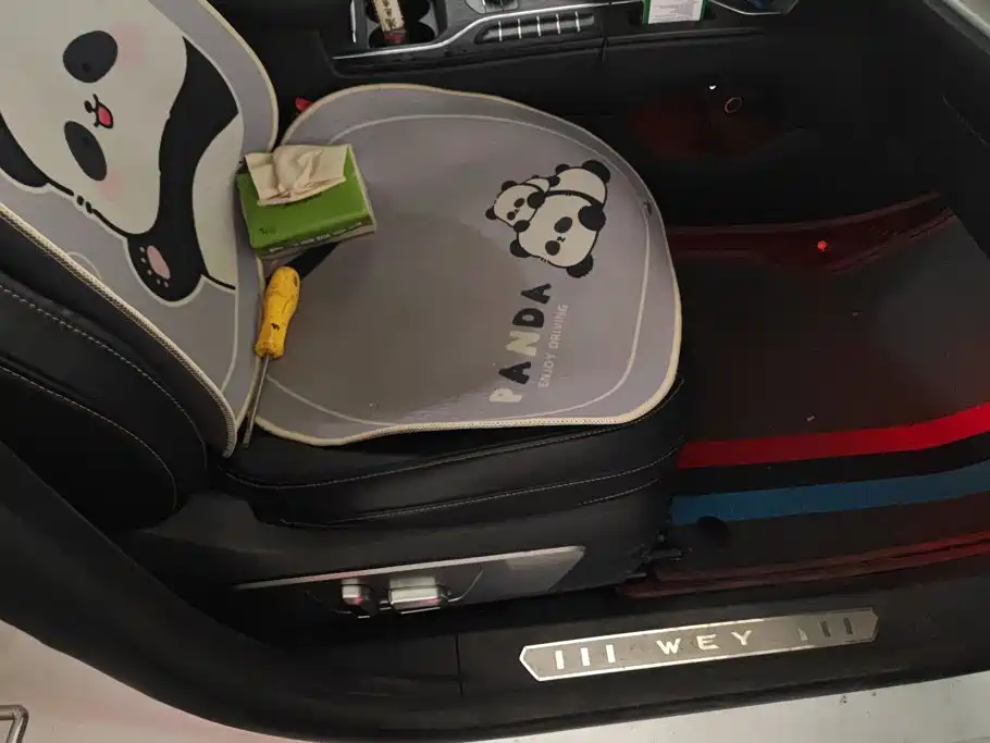 WEY VV6 2019 2020 2.0T 2WD Smart Protection+