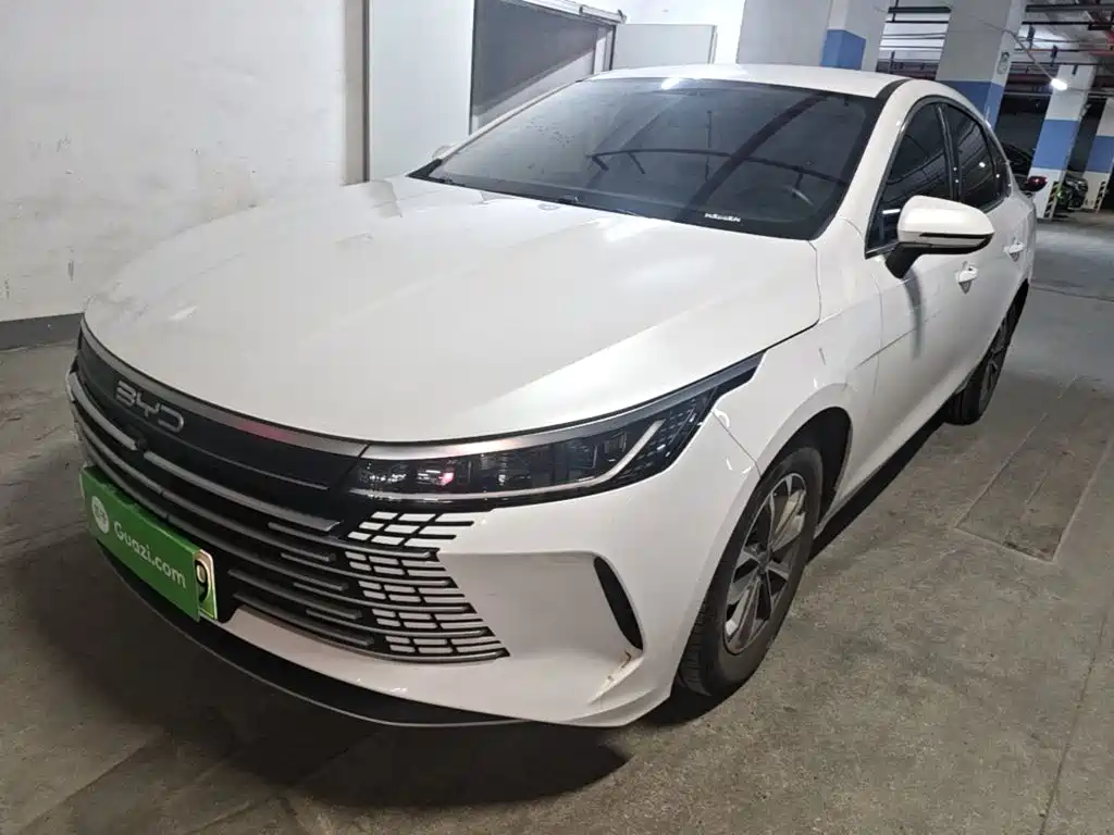 BYD Destroyer 05 2024