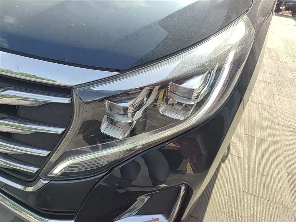 GAC Trumpchi Trumpchi M8 2020 Pilot 390T Prestige Edition фото 24