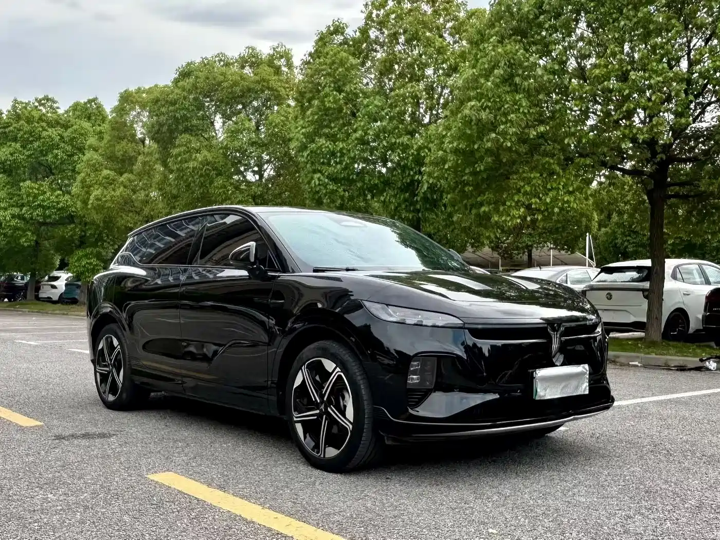 Voyah Auto Voyah Zhiyin 2024 Long Range Super Charging Edition фото 3