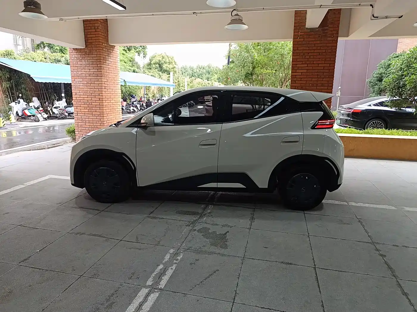 BYD Seagull 2026 2025 Smart Drive Edition 305km Vitality Version