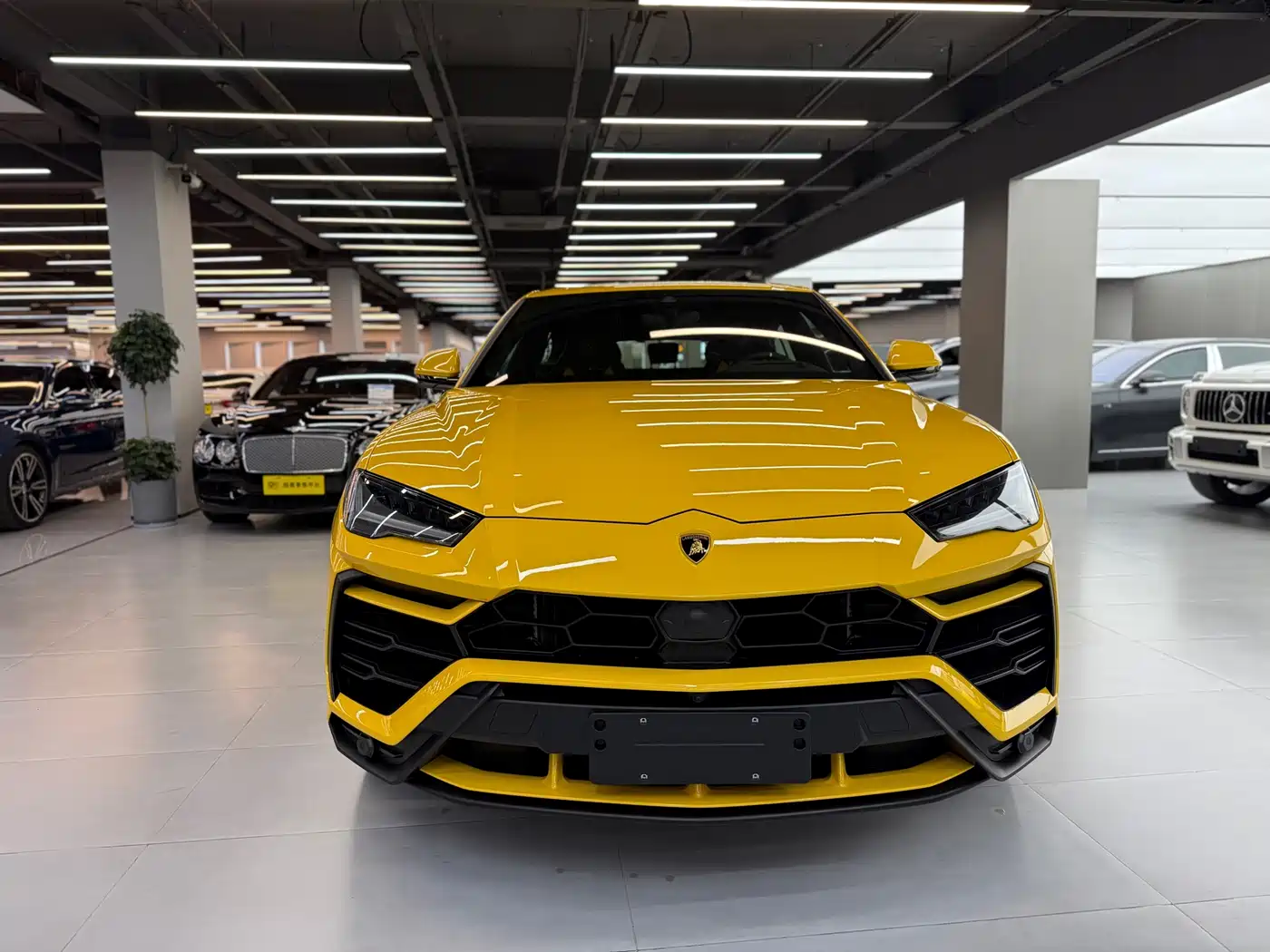 Lamborghini Urus 2021 4.0T V8