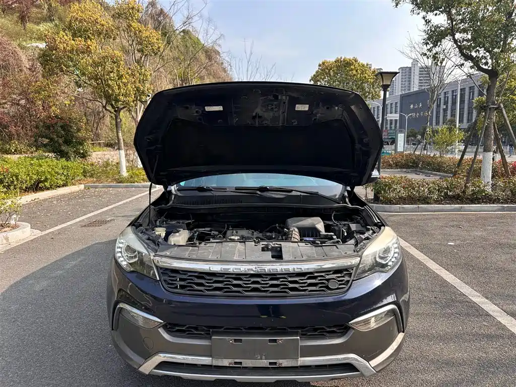 Leopaard CS10 2017 2017 Model 2.0T Automatic Luxury Edition