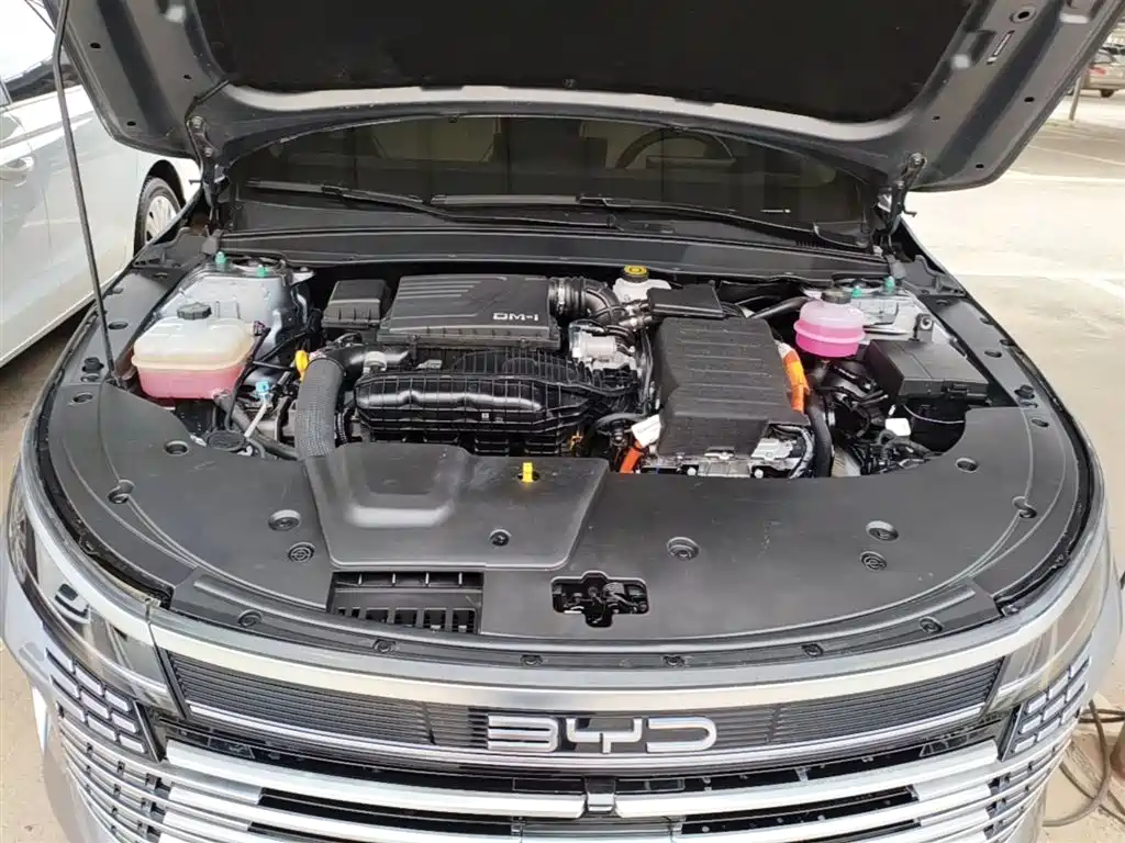 BYD Destroyer 05 2024 Glory Edition DM-i 55KM Luxury фото 20