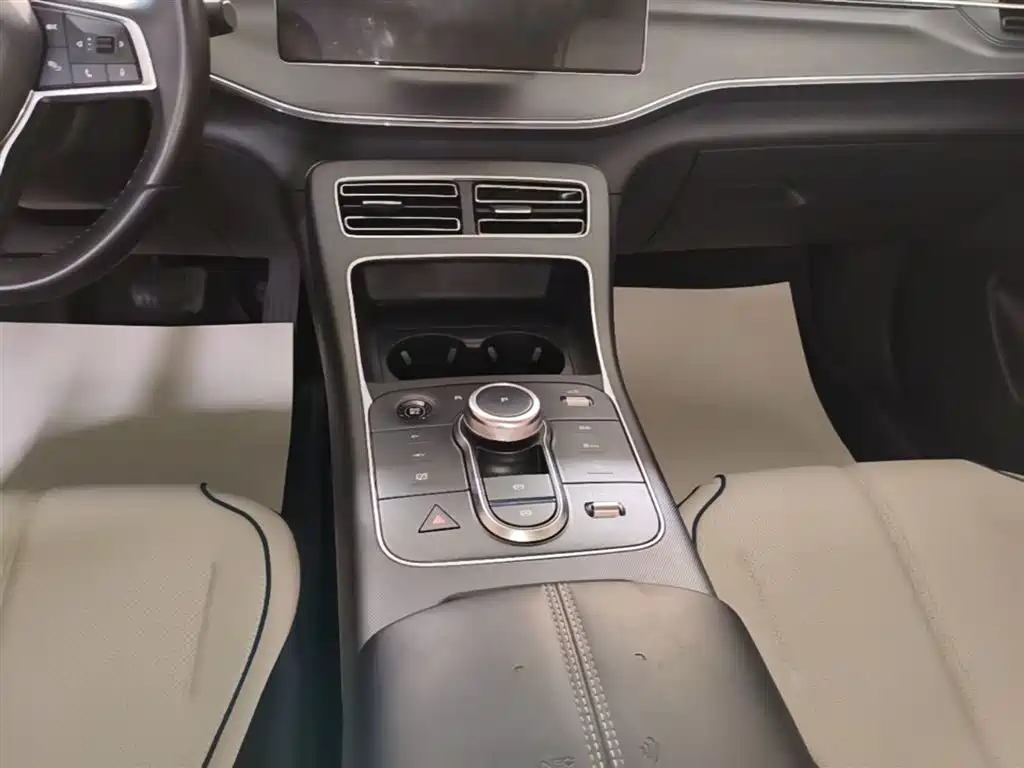 BYD Destroyer 05 2024 Glory Edition DM-i 55KM Luxury фото 14