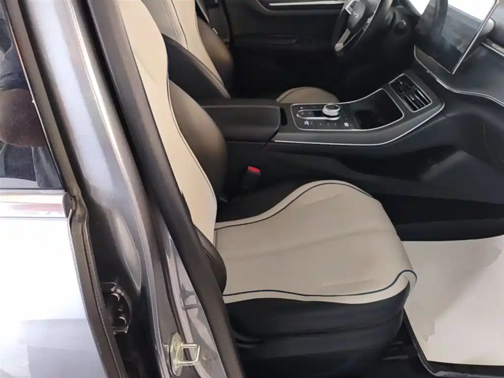 BYD Destroyer 05 2024 Glory Edition DM-i 55KM Luxury фото 25