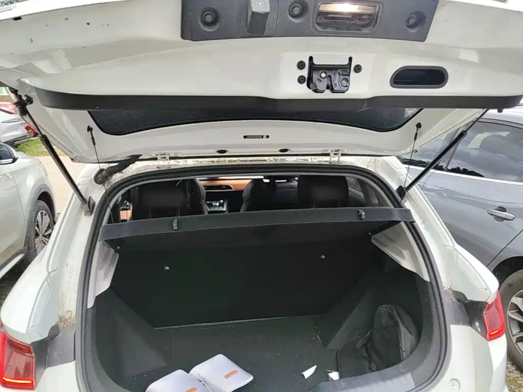 BYD e2 2022 2021 Luxury Edition
