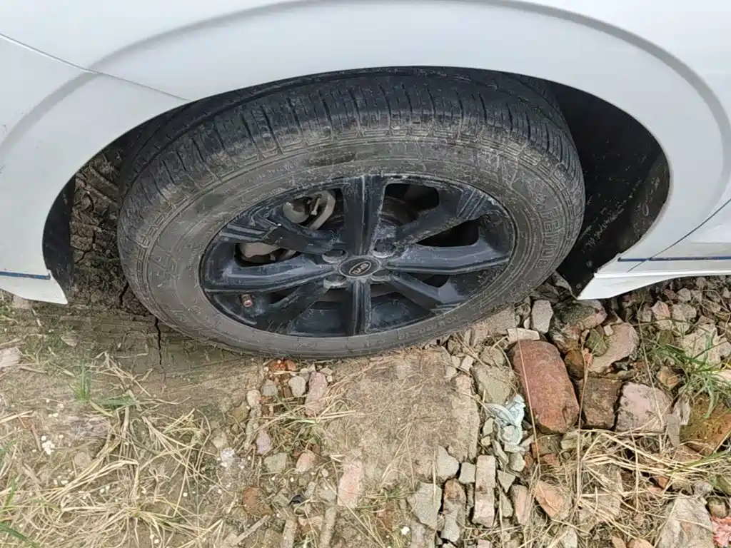 BYD e2 2022 2021 Luxury Edition