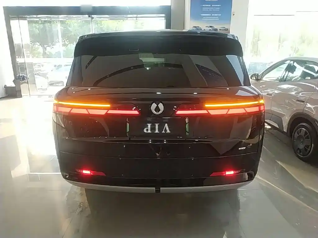 Denza N9 2025 2025 Flagship Model