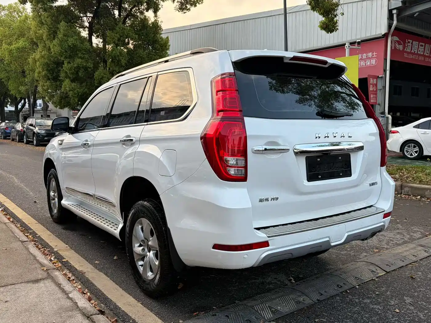 HAVAL H9