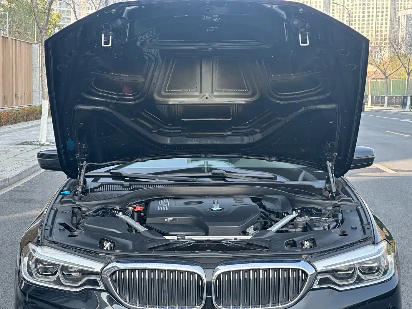 BMW 5 Series 2020 530Li Leading Luxury Package фото 28