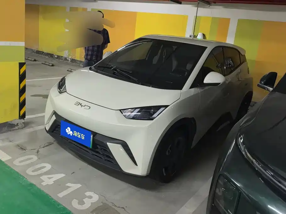 BYD Seagull 2025