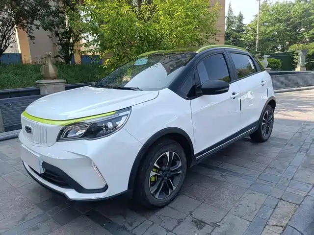 Geely Geometry EX3 Kung Fu Bull 2021 Kung Fu Niu Niu