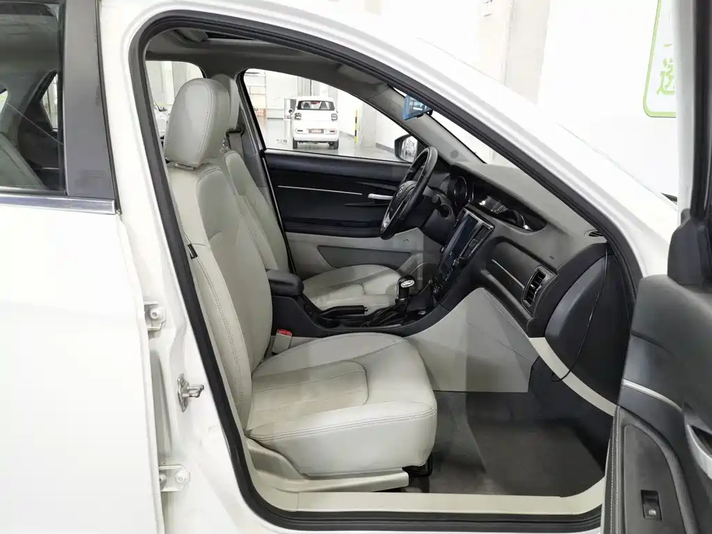 Фото 23 - BAIC Senova D50