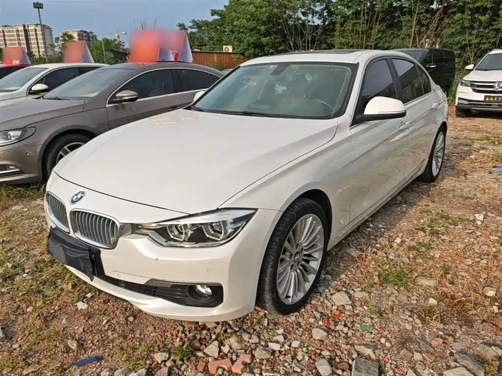 BMW 3 Series 2018 320Li Fashion Style фото 2