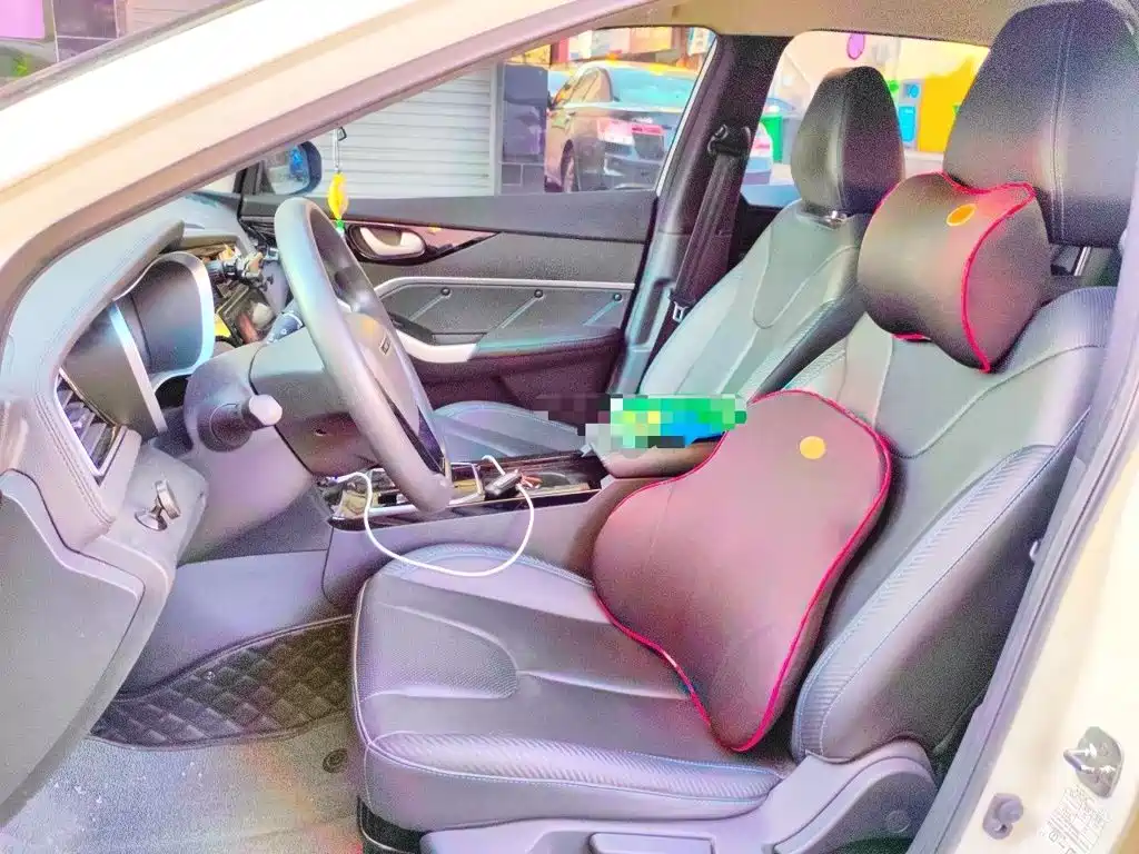 Venucia D60EV 2022 2022 Standard Range Smart Drive Edition