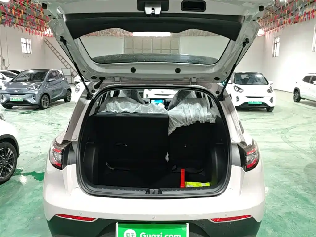 Geely Galaxy Starry Wish 2026 Edition 310km Youth Version фото 19