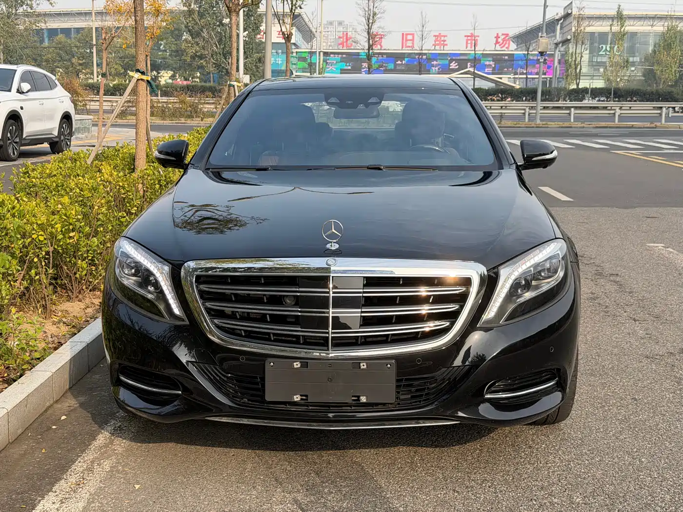 Mercedes-Benz S-Class 2014 S 600 L фото 6