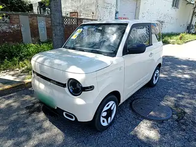 Geely Panda