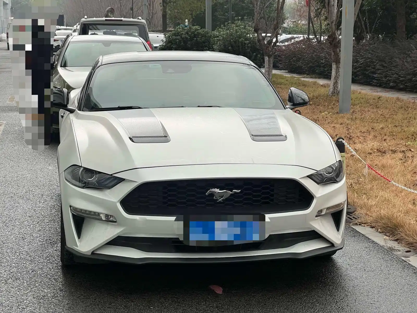 صورة 2 - Ford Mustang