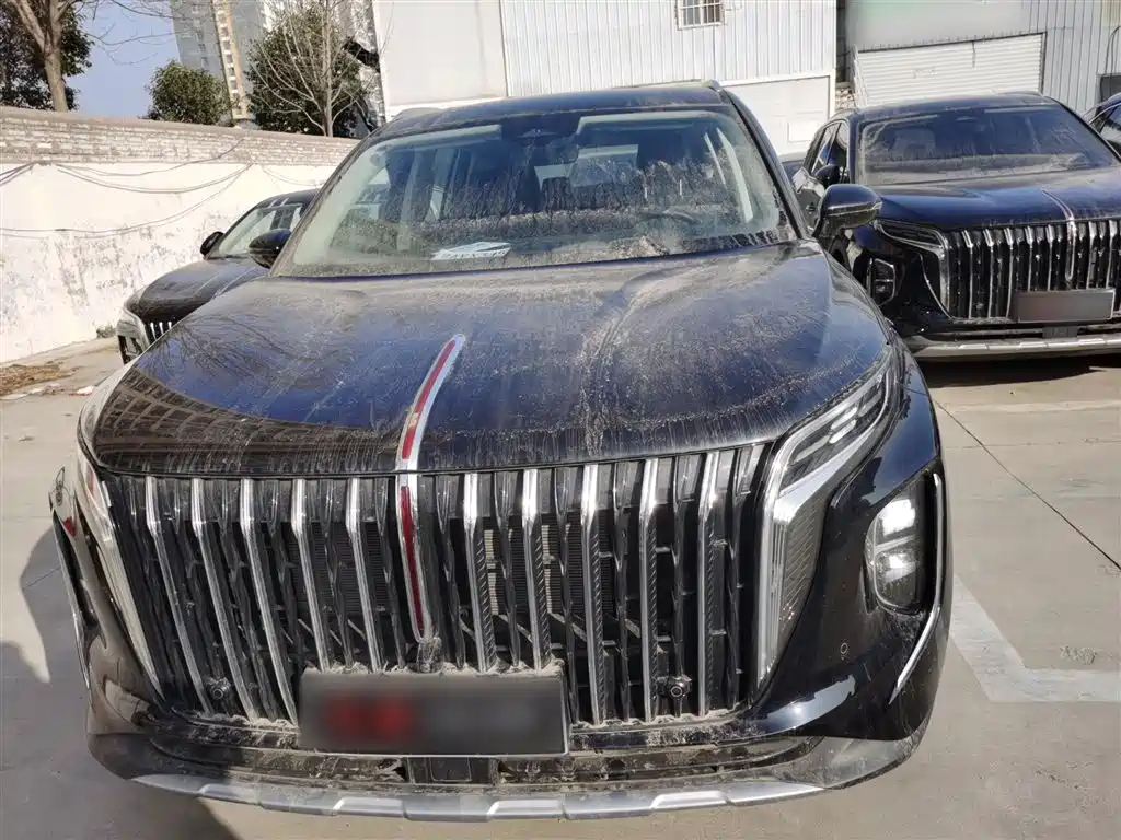 Hongqi HS7 PHEV 2024 2.0T PHEV 4WD Flagship Edition 6-seater фото 19