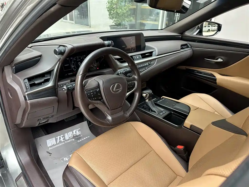 Lexus ES 2020 Model 260 Excellence Edition фото 8