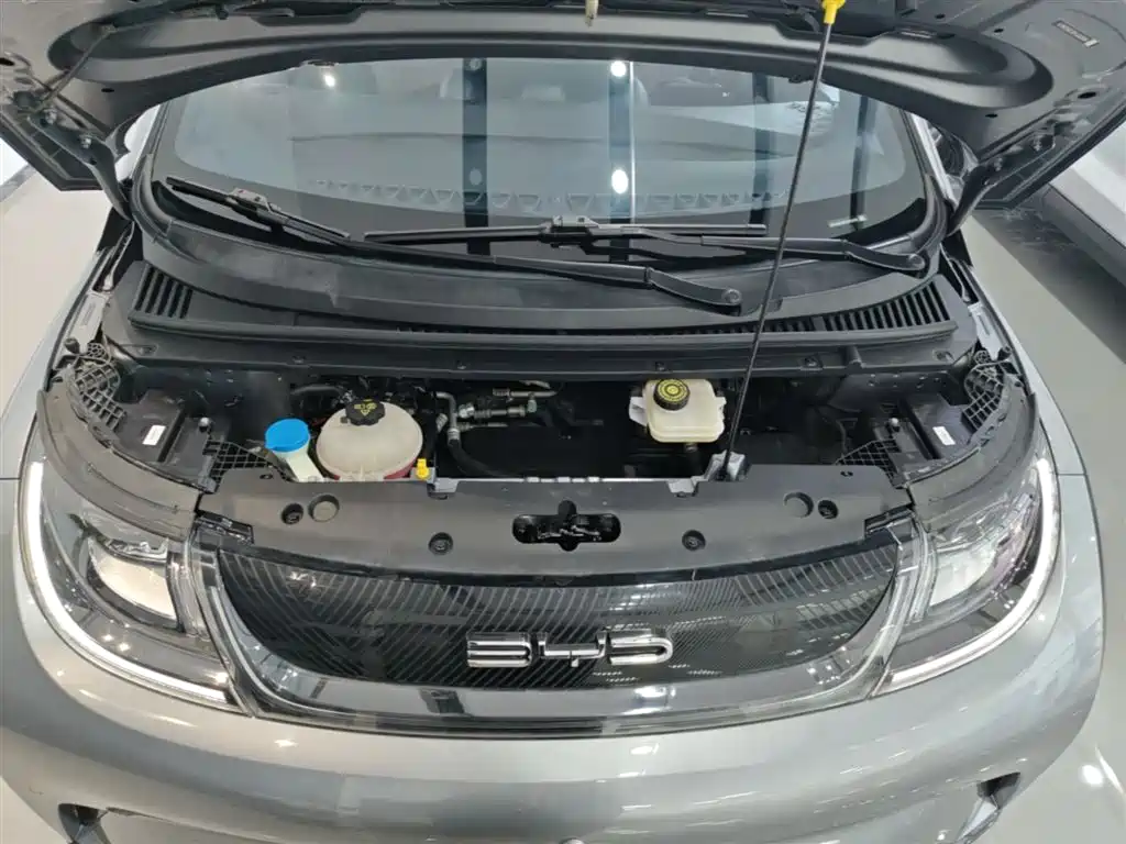 BYD Dolphin 2024 Glory Edition 420km Fashion Edition фото 20