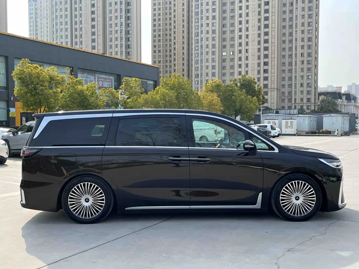 Voyah Auto Voyah Dreamer 2025 PHEV AWD Flagship Kunpeng Edition фото 12