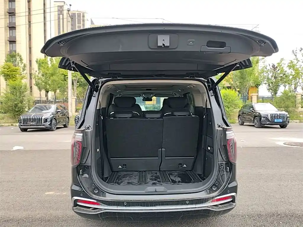 Hongqi HQ9 PHEV 2024 Model 2.0T AWD Business Edition фото 19