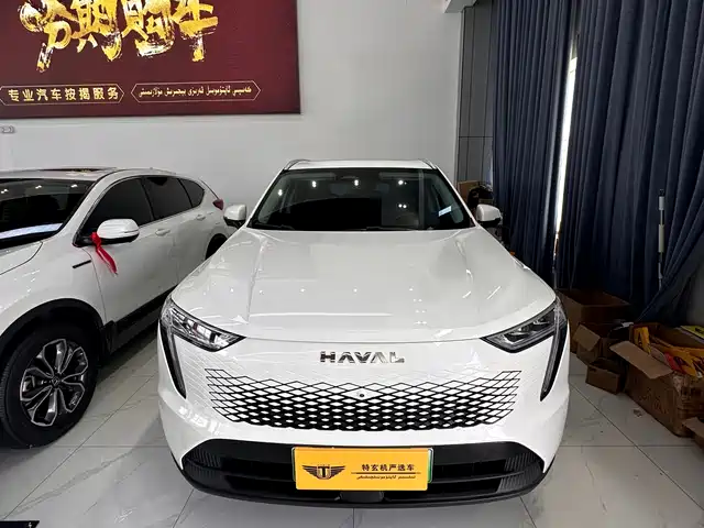  Haval Haval Xiaolong 2023 1.5L 110KM Pilot Edition