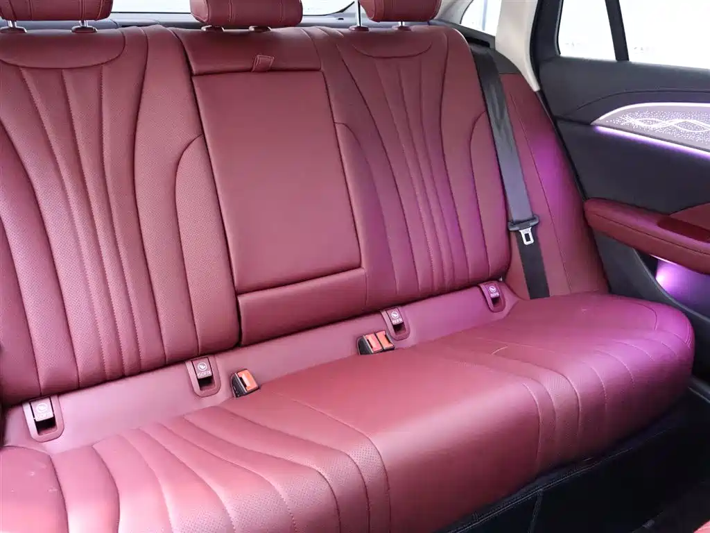 Hongqi H5 2024 2.0T Automatic Smart Connect Flag Smooth Edition фото 22