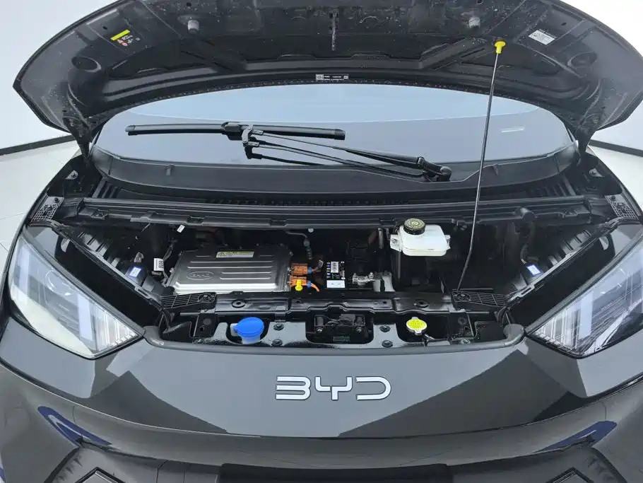  BYD Seagull 2025 305km Vitality 10