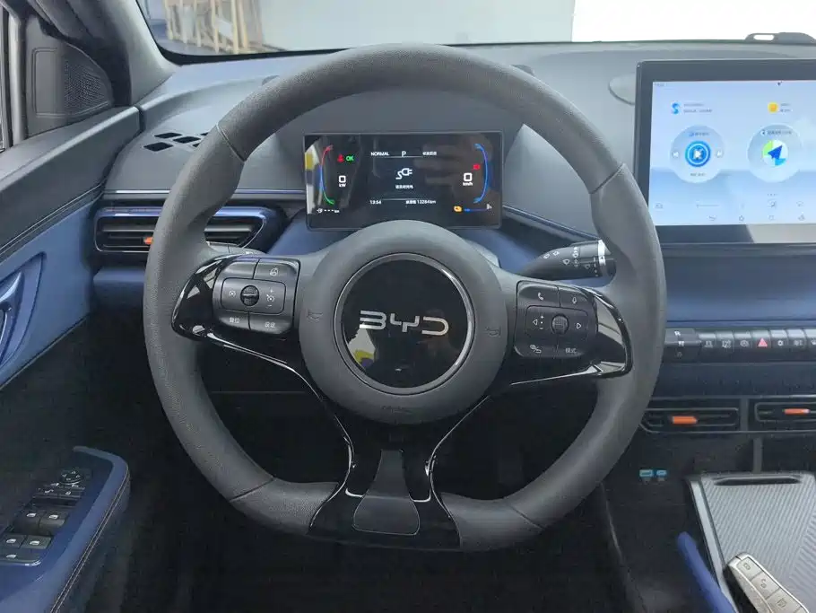 BYD Seagull 2025 305km Vitality 15