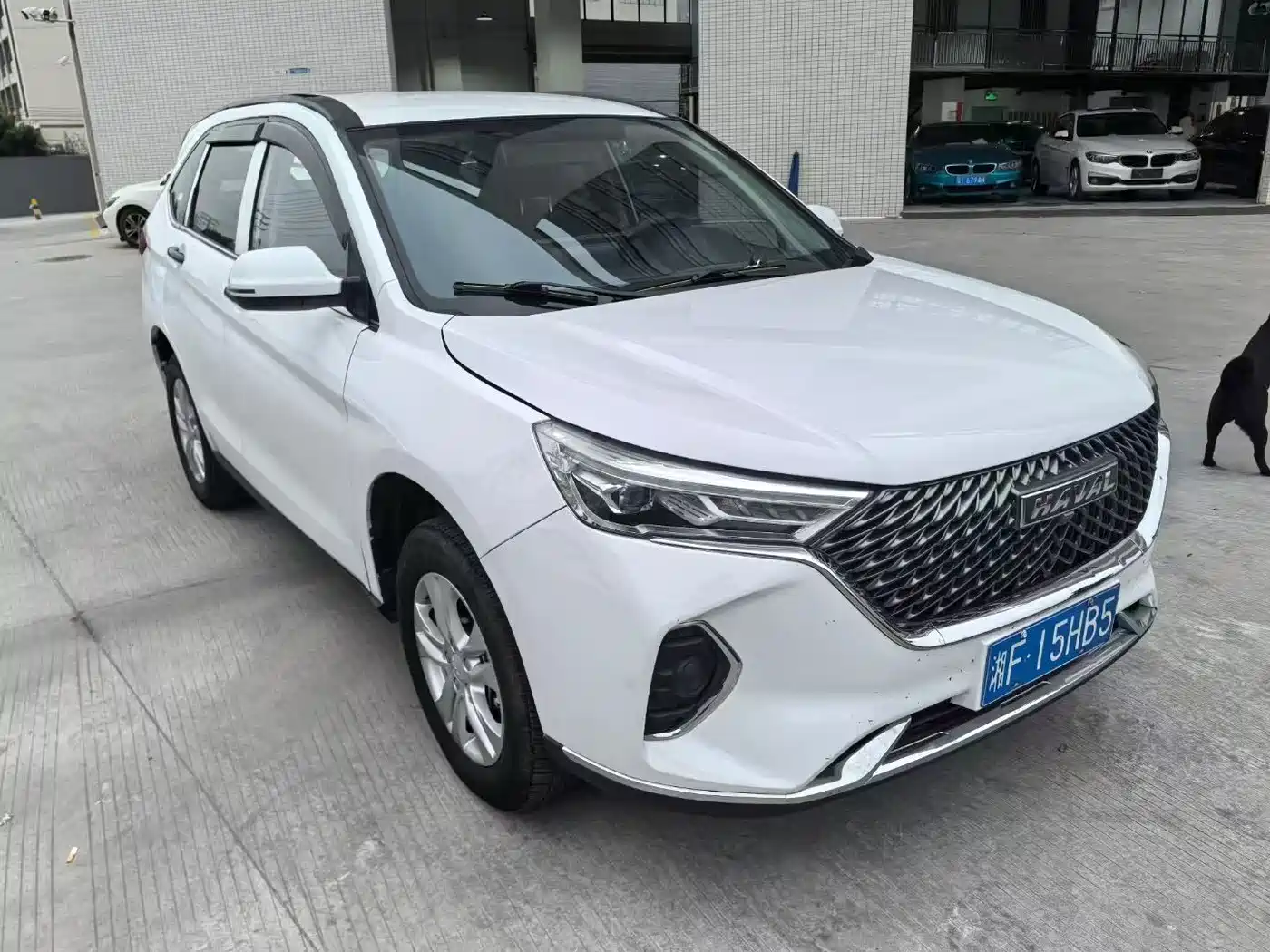 HAVAL M6
