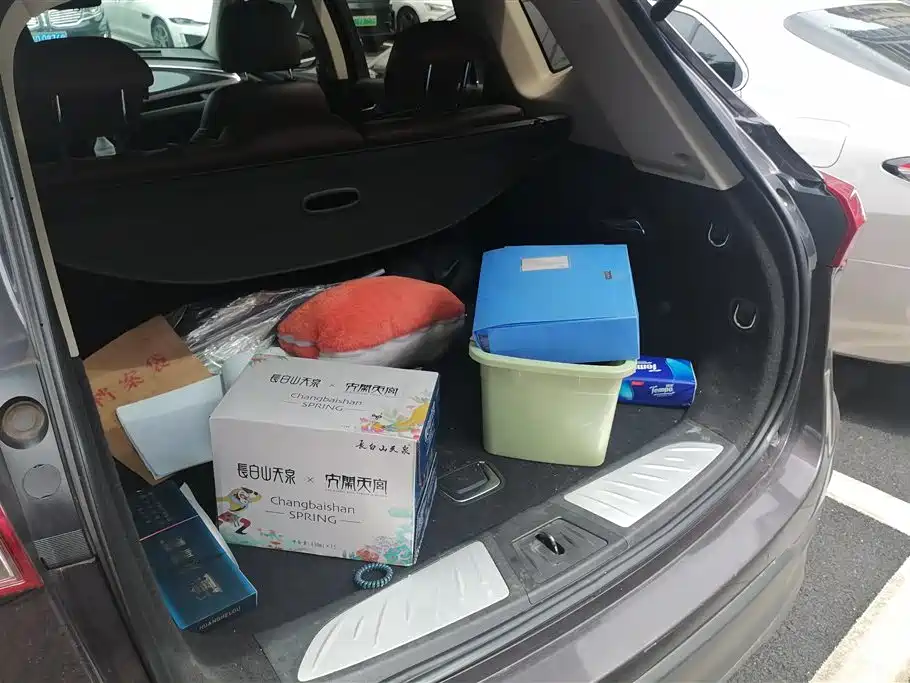 Buick Envision Plus 2018 28T 4WD Luxury фото 4
